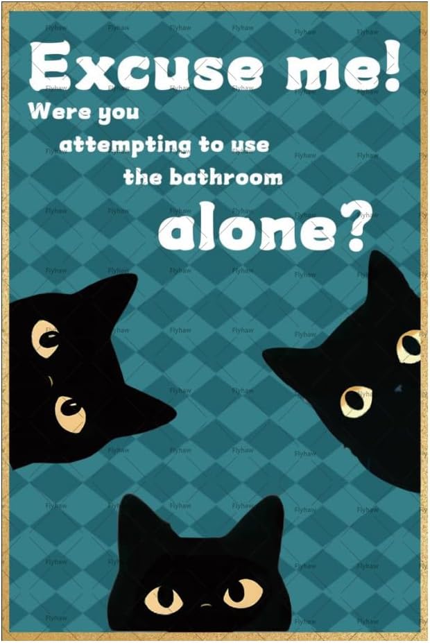 excuse me were you attempting  - Home Alone Bathroom recension och pris