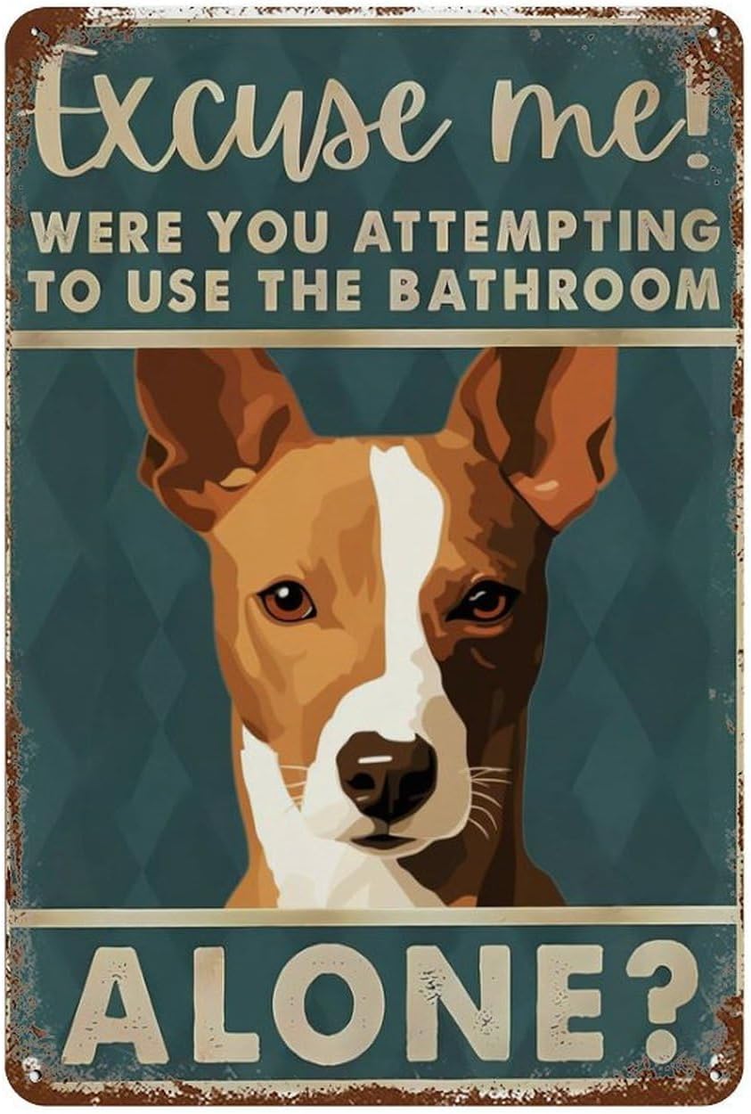 Retro Tin Sign Basenji Dog Exc - Home Alone Bathroom recension och pris