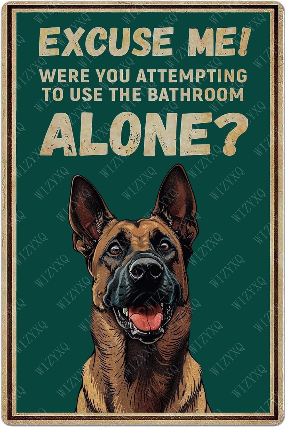 Tin Signs Excuse Me Were You A - Home Alone Bathroom recension och pris